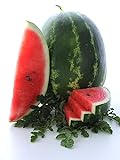 Photo Cal Sweet Supreme Watermelon Seeds, 125 Heirloom Seeds Per Packet, Non GMO Seeds, High Germination & Purity, Botanical Name: Citrullus lanatus, Isla's Garden Seeds, best price $5.79 ($0.05 / Count), bestseller 2024