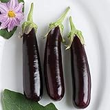 Photo David's Garden Seeds Eggplant Hansel (Purple) 25 Non-GMO, Hybrid Seeds, best price $3.45, bestseller 2024