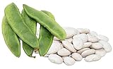Photo Henderson Lima Beans, 50 Seeds Per Packet, Non GMO Heirloom Seeds, High Germination & Purity, Botanical Name: Phaseolus lunatus, Isla's Garden Seeds, best price $5.99 ($0.12 / Count), bestseller 2024