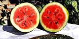Photo 25 Moon and Star Watermelon Seeds | Non-GMO | Heirloom | Instant Latch Garden Seeds, best price $7.95, bestseller 2024