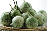 Photo Thai Round Green Eggplant Seeds (25+ Seeds)(More Heirloom, Organic, Non GMO, Vegetable, Fruit, Herb, Flower Garden Seeds (25+ Seeds) at Seed King Express), best price $4.69, bestseller 2024