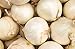 250 Early White Grano PRR Onion Seeds | Non-GMO | Heirloom | Instant Latch Garden Seeds new 2024