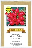 Foto Radieschen - Cherry Belle - schnellwüchsig - früh reifend - köstlich - 200 Samen, bester Preis 1,95 €, Bestseller 2024