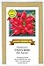 Radieschen - Cherry Belle - schnellwüchsig - früh reifend - köstlich - 200 Samen neu 2024