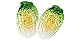 Photo David's Garden Seeds Cabbage Chinese Minuet 8642 (Green) 50 Non-GMO, Hybrid Seeds, best price $4.45, bestseller 2024