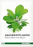 Foto Aquarienpflanzen: Natur erleben unter Wasser, bester Preis 7,08 €, Bestseller 2024