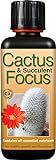 Photo Engrais concentré Liquide Cactus and Succulent Focus 300 ML, meilleur prix 11,97 € (39,90 € / l), best-seller 2024