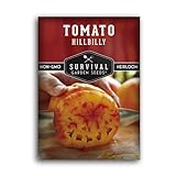 Photo Survival Garden Seeds - Hillbilly Tomato Seed for Planting - Packet with Instructions to Plant and Grow Uniquely Colored Potato Leaf Tomatoes in Your Home Vegetable Garden - Non-GMO Heirloom Variety, best price $4.99, bestseller 2024