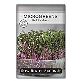 Photo Sow Right Seeds - Red Cabbage Microgreen Seed for Growing - Instructions to Quickly Grow Your Own Delicious and Healthy Microgreens - Plant Indoors with no Special Equipment - Minimum 14g per Packet, best price $4.99, bestseller 2024