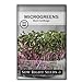 Sow Right Seeds - Red Cabbage Microgreen Seed for Growing - Instructions to Quickly Grow Your Own Delicious and Healthy Microgreens - Plant Indoors with no Special Equipment - Minimum 14g per Packet new 2024