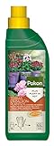 Foto Pokon Balkon- und Kübelpflanzen Flüssigdünger, Qualitäts-Dünger für alle Blühpflanzen auf Balkon und Terrasse, 500 ml, bester Preis 6,08 € (12,16 € / l), Bestseller 2024