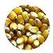 50Pcs / Bolsa Semillas de maíz Jugosa Fácil Germinación Amarillo Verduras Dulces Plántulas Suministros de jardinería Semillas De Verduras Verdes Hogar Jardín Plantar Vegetales-1 nuevo 2024