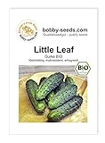 Foto BIO-Gurkensamen Little Leaf Einlegegurke Portion, bester Preis 1,95 €, Bestseller 2024