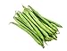 Burpee Stringless Green Bean Seeds, 50 Heirloom Seeds Per Packet, Non GMO Seeds, (Isla's Garden Seeds), Botanical Name: Phaseolus vulgaris, 85% Germination Rates new 2024