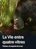 Photo La Vie entre quatre vitres (Thalassa : le magazine de la mer), meilleur prix , best-seller 2024