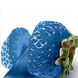 Foto Samen für Gartenarbeit, 100 Stück Erdbeer-Samen, nahrhaft, köstlich, seltene Farben, Obst und Gemüse, Samen – Blau, bester Preis 2,39 €, Bestseller 2024