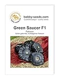 Foto Kürbissamen Green Saucer F1 Portion, bester Preis 2,75 €, Bestseller 2024