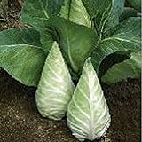 Photo Caraflex Cabbage Seeds (20+ Seeds) | Non GMO | Vegetable Fruit Herb Flower Seeds for Planting | Home Garden Greenhouse Pack, best price $3.69 ($0.18 / Count), bestseller 2024