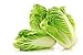 Peking Cabbage Seeds for Planting Chinees Beijing Napa Lettuce About 100 Seeds new 2024