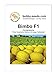 Melonensamen Bimbo F1 Kanarische Honigmelone Portion neu 2024