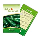Foto Zucchini Diamant F1 Samen - Cucurbita pepo - Zucchinisamen - Gemüsesamen - Saatgut für 5 Pflanzen, bester Preis 1,99 € (0,40 € / stück), Bestseller 2024