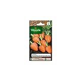 Foto La bolsa de semillas de zanahoria Ronda Mercado París, mejor precio 5,85 €, éxito de ventas 2024
