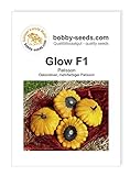 Foto Glow F1 Kürbissamen von Bobby-Seeds, Portion, bester Preis 2,75 €, Bestseller 2024
