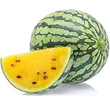 Foto Yellow Watermelon Seeds 8+ Sweet Fruit Vine Organic Non-GMO Easy to Grow (Citrullus lanatus) for Garden Outdoor Indoor Farm, mejor precio 10,56 €, éxito de ventas 2024