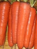 Photo Seed Kingdom Carrot Tendersweet Great Heirloom Vegetable Seeds (5,000 Seeds), best price $3.95, bestseller 2024