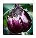 Aubergine Violetta di Firenze - Eierfrucht - 20 Samen neu 2024