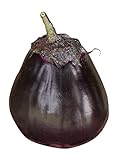 Photo Burpee Meatball Eggplant Seeds 35 seeds, best price $9.61, bestseller 2024