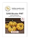 Foto SAM Bicolor PMT Kürbissamen von Bobby-Seeds 50 Korn, bester Preis 4,82 €, Bestseller 2024