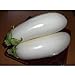 Casper Eggplant Seeds (30+ Seed Package) new 2024