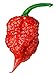Carolina Reaper Seeds - 400 Carolina Reaper Seeds for Planting - Hottest Pepper Seeds - Hottest Chili Pepper in The World - Organic, Non - GMO Carolina Reaper Plant Seeds new 2024