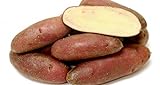 Photo French Fingerling Potato 6 Tubers - Heirloom, best price $7.50, bestseller 2024
