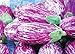 200 Pcs Eggplant Seeds Striped Long Heirloom Vegetable Seed new 2024