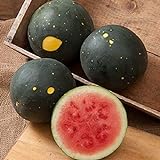 Photo David's Garden Seeds Fruit Watermelon Moon & Stars 5547 (Red) 50 Non-GMO, Heirloom Seeds, best price $3.45, bestseller 2024