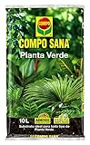 Foto Compo Sana - Substrato para Plantas Verdes de 10 L, mejor precio 6,29 €, éxito de ventas 2024