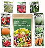 Photo Heirloom Vegetable Seeds -9 Variety - Non GMO Vegetable Seeds for Planting Indoor or Outdoors, Tomato, Carrots, Cantaloupe, Cucumber, Green Honeydew Melon, Pumpkin, Watermelon, Cherry Belle Radish, S, best price $10.90, bestseller 2024