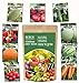 Heirloom Vegetable Seeds -9 Variety - Non GMO Vegetable Seeds for Planting Indoor or Outdoors, Tomato, Carrots, Cantaloupe, Cucumber, Green Honeydew Melon, Pumpkin, Watermelon, Cherry Belle Radish, S new 2024