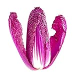 Photo 30 Red Chinese Cabbage Seeds - Edible Chinese Cabbage is a Superfood - Ships from Iowa, USA, best price $8.98 ($0.30 / Count), bestseller 2024
