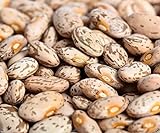 Photo Pinto Beans Seeds, the Most Common Bean in the US 100 Seeds Heirloom !, best price $4.20 ($0.04 / Count), bestseller 2024