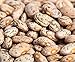 Pinto Beans Seeds, the Most Common Bean in the US 100 Seeds Heirloom ! new 2024