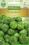 Foto Chrestensen Rosenkohl 'Rosella' mittelfrühe Sorte, bester Preis 1,89 €, Bestseller 2024