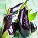 Eggplant Seed, Black Beauty, Heirloom, Non GMO, 50 Seeds, Vegetable new 2024