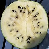Photo Cream of Saskatchewan Heirloom Watermelon (Certified Organic Seeds) by Stonysoil Seed Company, best price $7.95, bestseller 2024