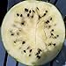 Cream of Saskatchewan Heirloom Watermelon (Certified Organic Seeds) by Stonysoil Seed Company new 2024