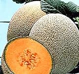 Photo Hale's Best Jumbo Cantaloupe Seeds - 50 Seeds Non-GMO, best price $1.49 ($0.03 / Count), bestseller 2024