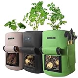 Photo SproutJet 3 Pack 10 Gallon Potato Root Grow Bags, Seed Potatoes for Spring Planting 2022 Upgraded Home Garden Vegetable Bag with Pocket, Sturdy Handles and Window; Large Breathable High End Fabric Bag, best price $33.99, bestseller 2024