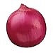 Burpee Red Creole Onion Seeds 300 seeds new 2024